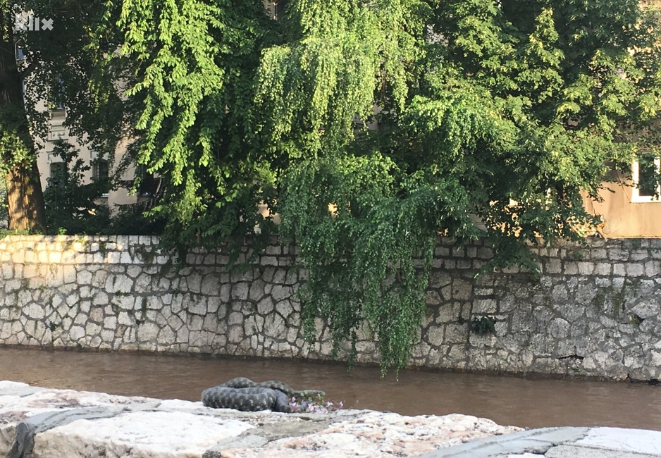 Foto: Čitatelj