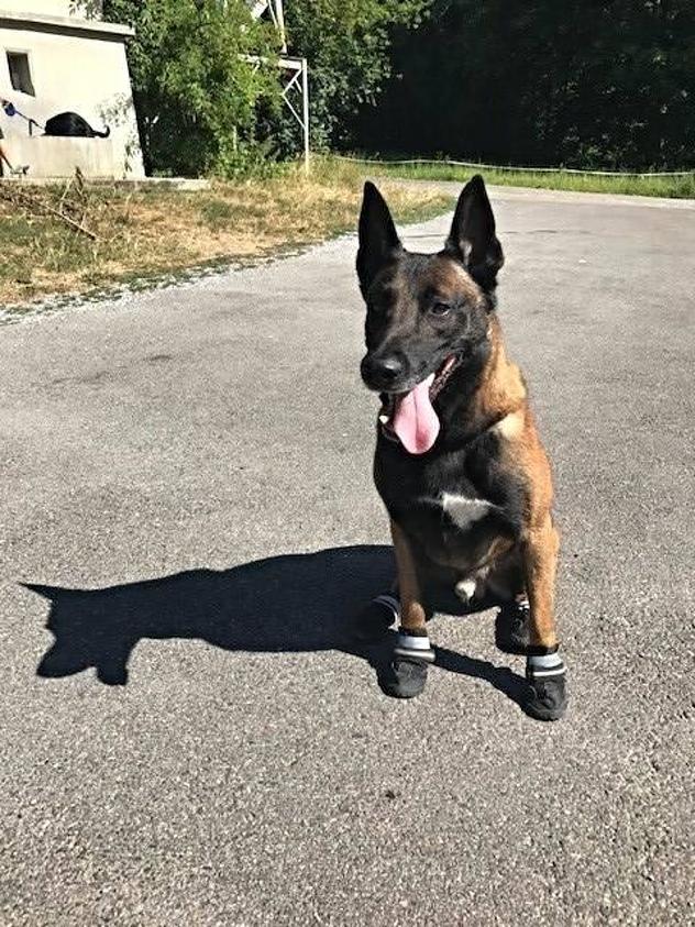 Foto: Policija u Zurichu