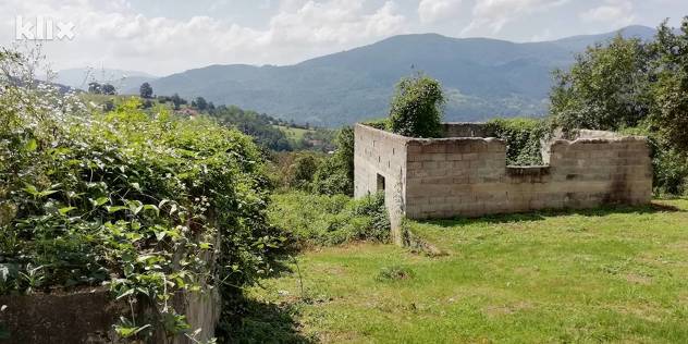 Koritnik