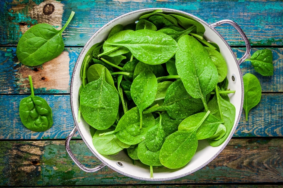 Foto: Shutterstock.com