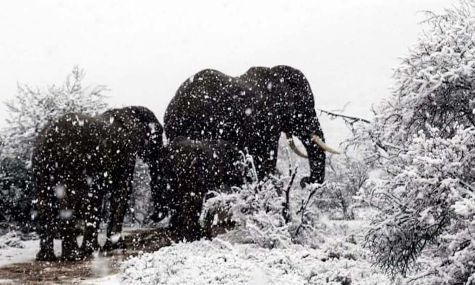 Foto: Kitty Viljoen/Guardian