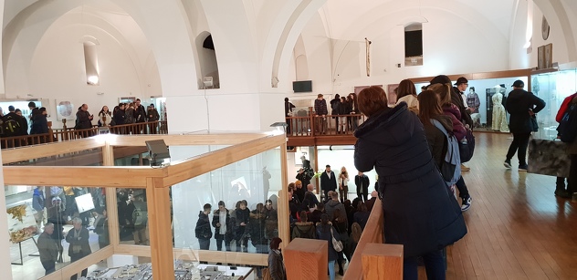 Foto: JU Muzej Sarajeva