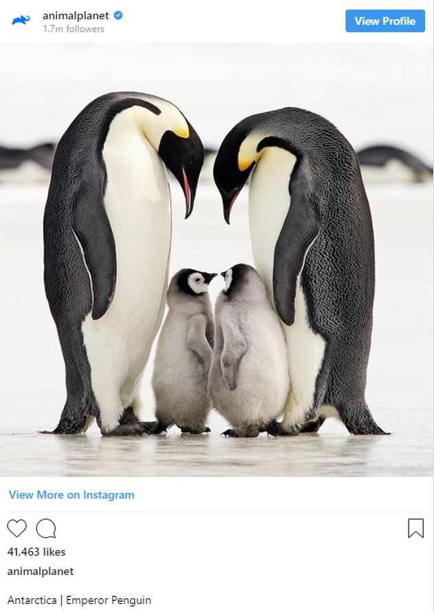 Foto: Instagram