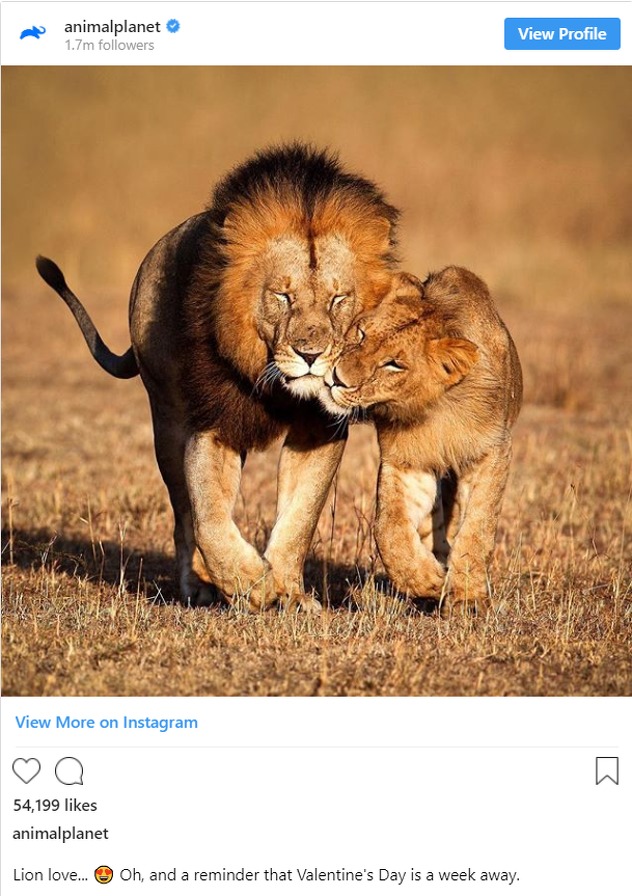Foto: Instagram