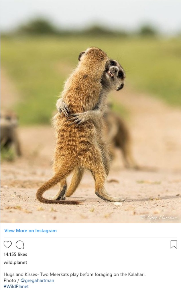 Foto: Instagram