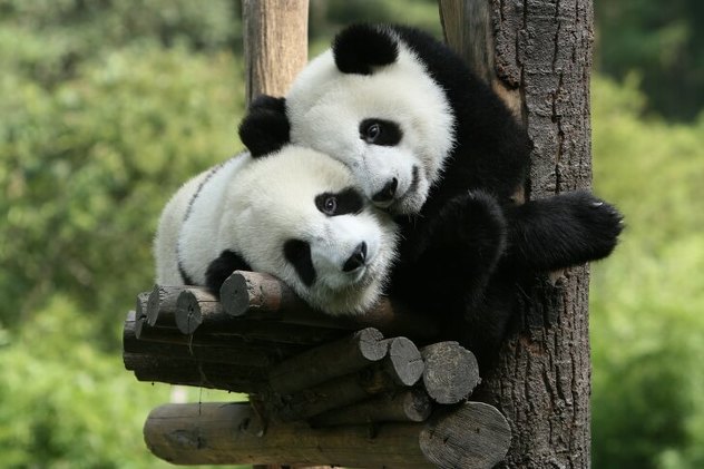 Foto: Kichushomoy.com