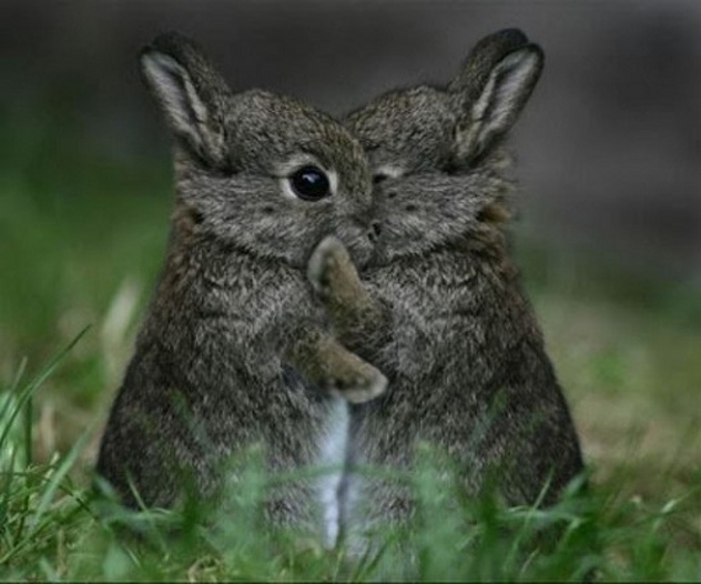 Foto: Kichushomoy.com
