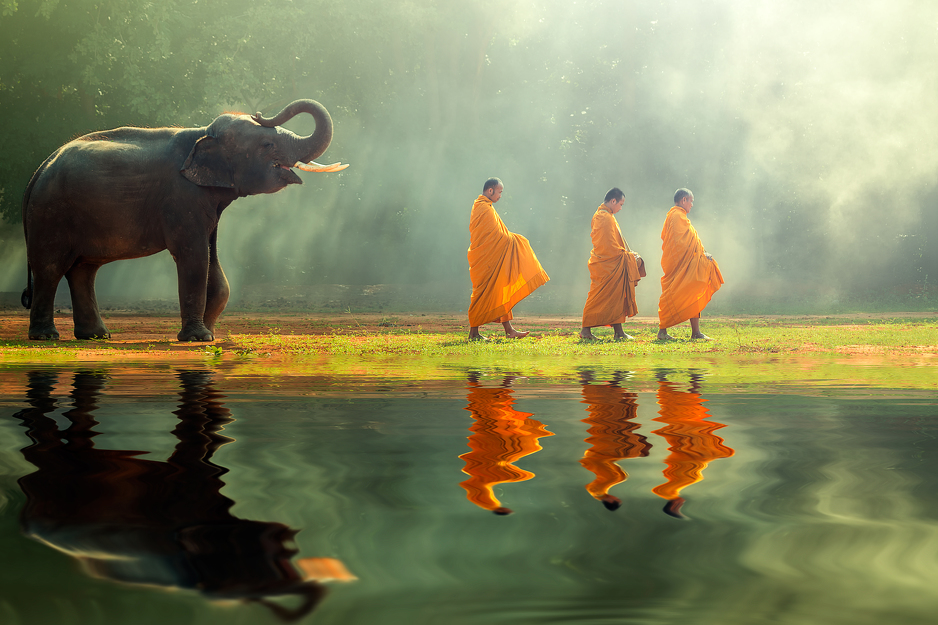 Foto: Shutterstock