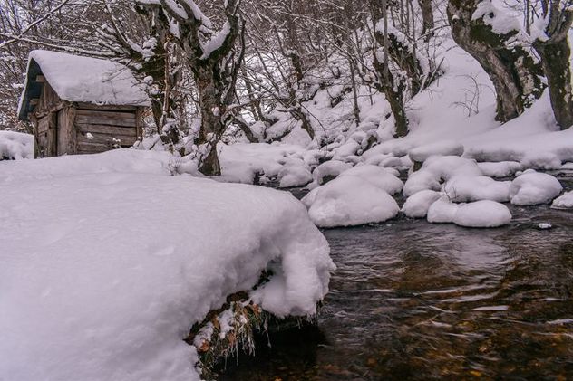 Foto: S. Pračić