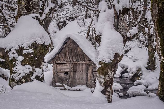 Foto: S. Pračić