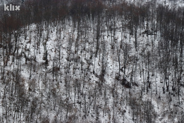 Šuma u kojoj se Edin Gačić skrivao (Foto: H. M./Klix.ba)