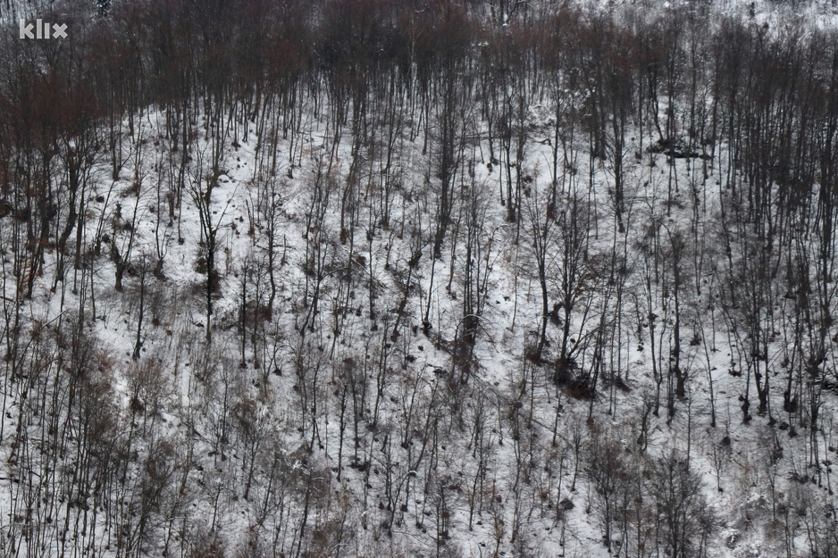 Šuma u kojoj se Edin Gačić skrivao (Foto: H. M./Klix.ba)