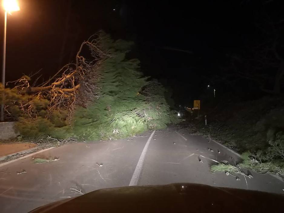 Foto: Dalmacija danas