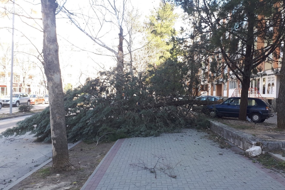 Foto: R. D./Klix.ba