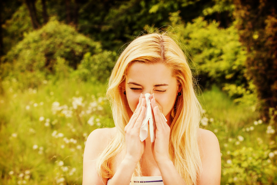 Foto: Shutterstock