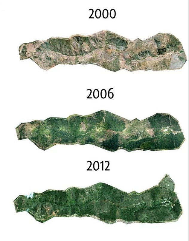 Foto: Instituto Terra