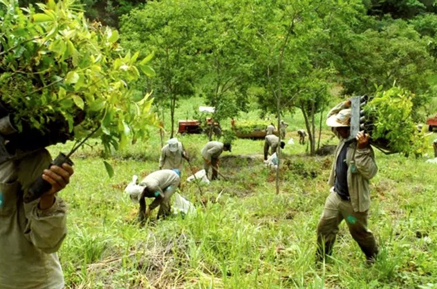 Foto: Instituto Terra