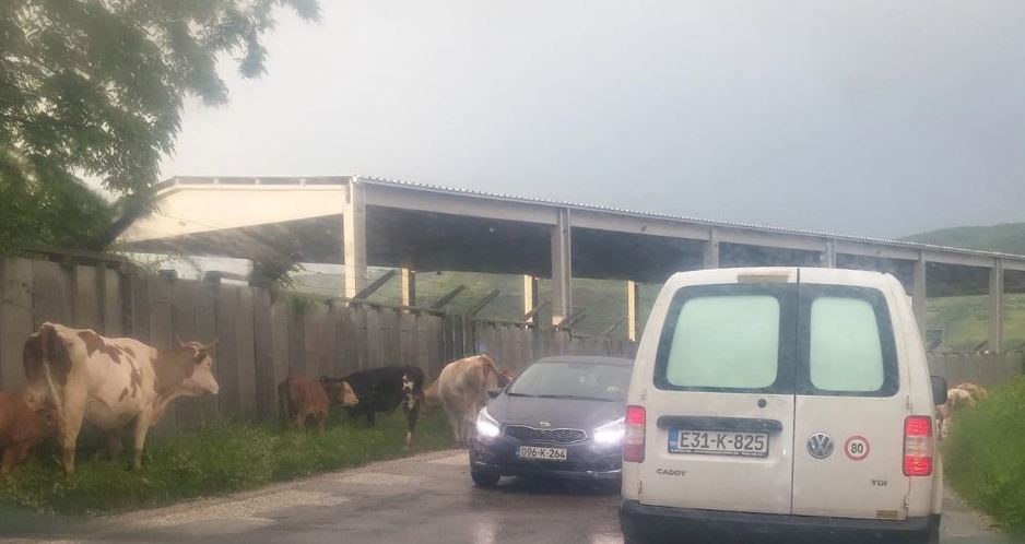 Foto: Čitatelj