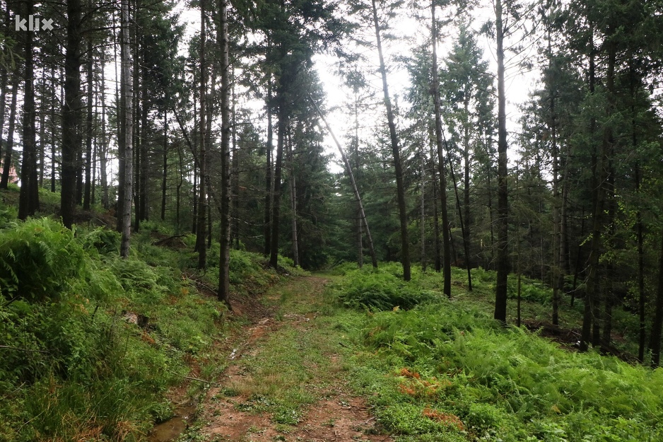 Dio Puta spasa u Nezuku (Foto: A. K./Klix.ba)