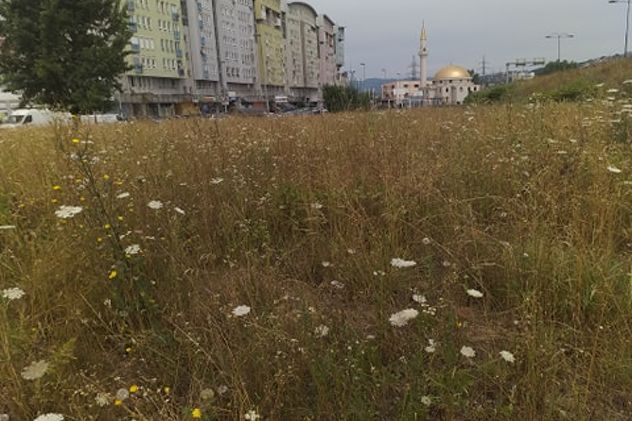 Foto: Čitatelj