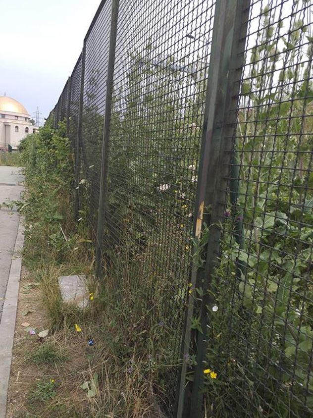 Foto: Čitatelj