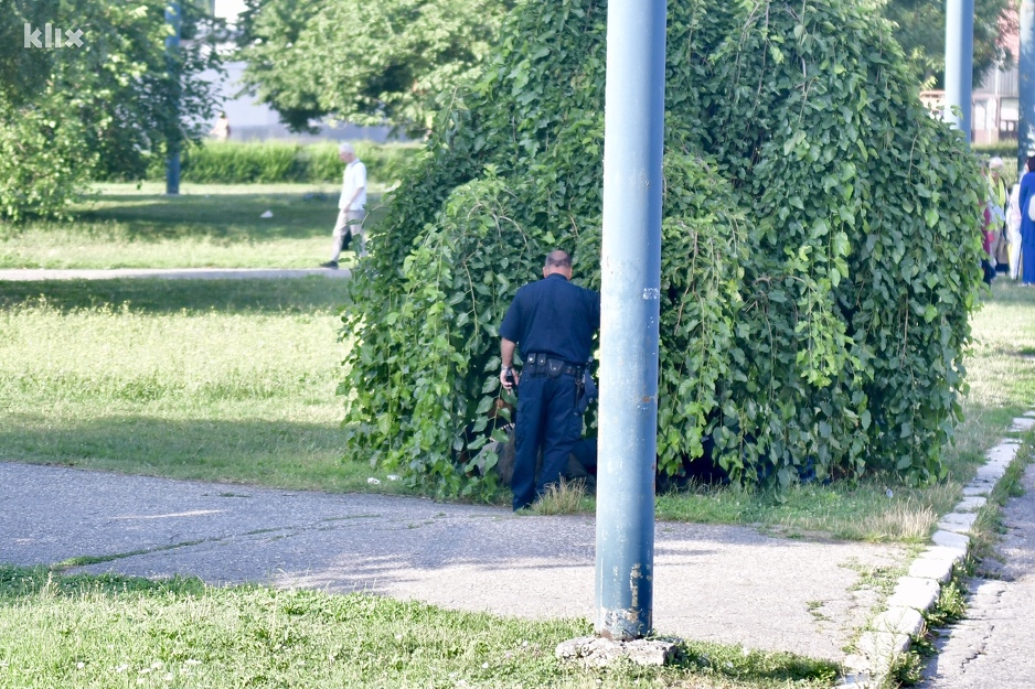 Veća grupa migranata u Sarajevu čeka voz za Bihać, policija ih tjera s trave 190802018.2_xl