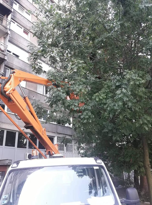 Foto: Facebook