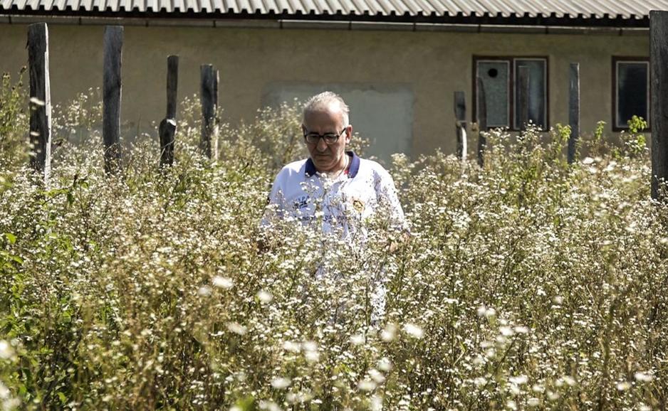 Maitham Hasan Hussain Ali Kamal