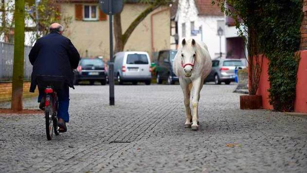 Foto: Upworthy