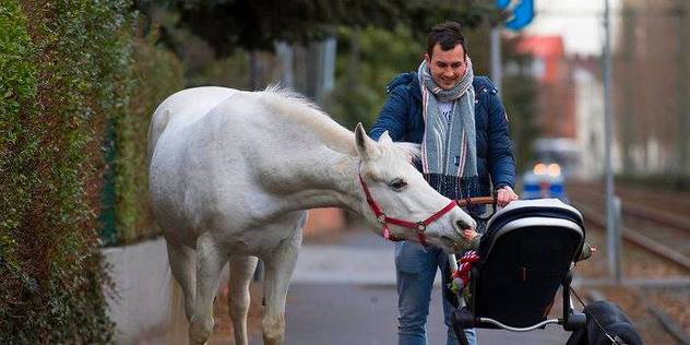 Foto: Upworthy