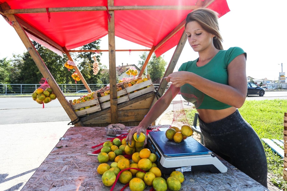 Foto: Marko Prpic/PIXSELL