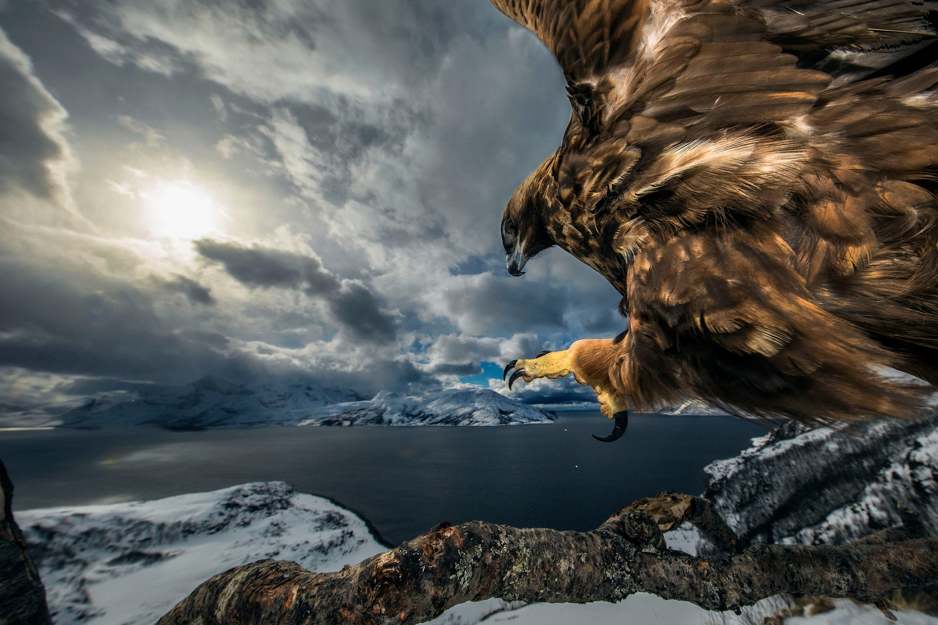 Foto: Audun Rikardsen