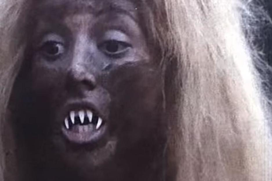 Leptirica