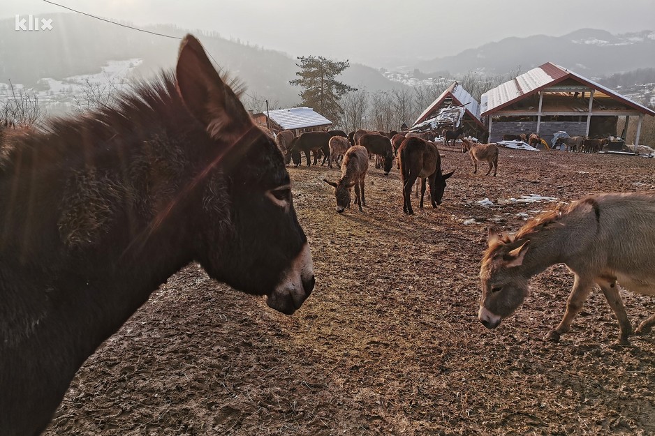 Foto: E. M./Klix.ba