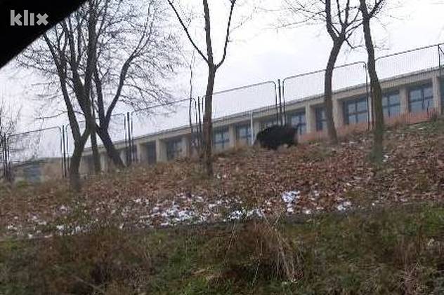 Foto: Čitatelj