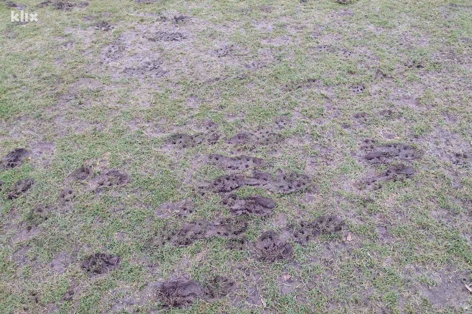 Teren na mostarskom stadionu Pod Bijelim brijegom (Foto: R. D./Klix.ba)