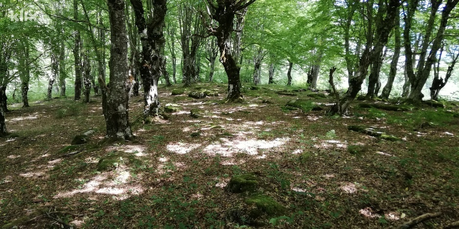Foto: Klix.ba