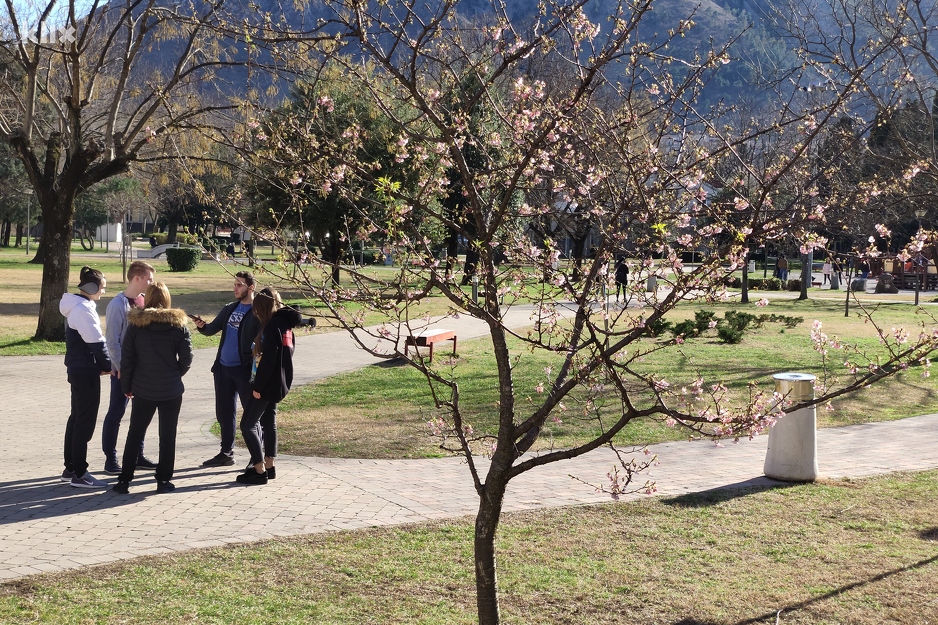 Foto: G. Š./Klix.ba