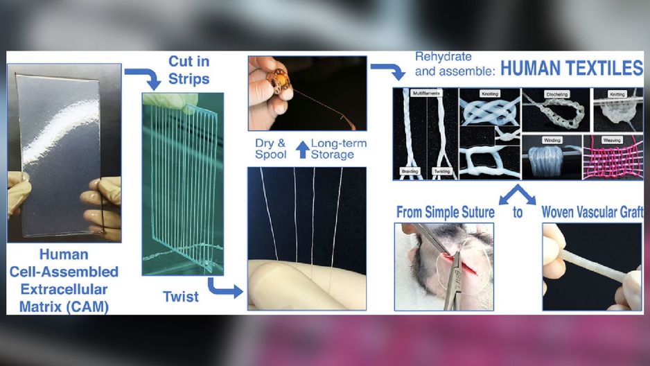 Foto: Acta Biomaterialia