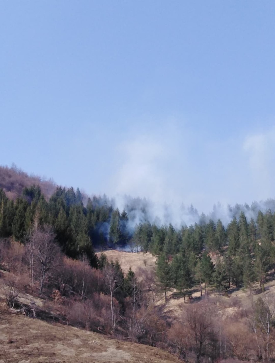 Požar kod Trnova pod kontrolom