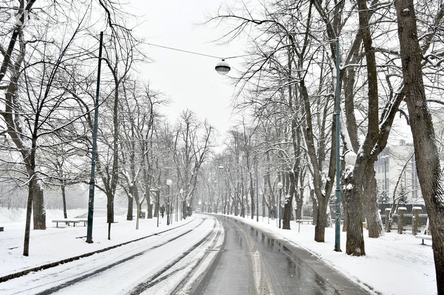 (Foto: D. S./Klix.ba)