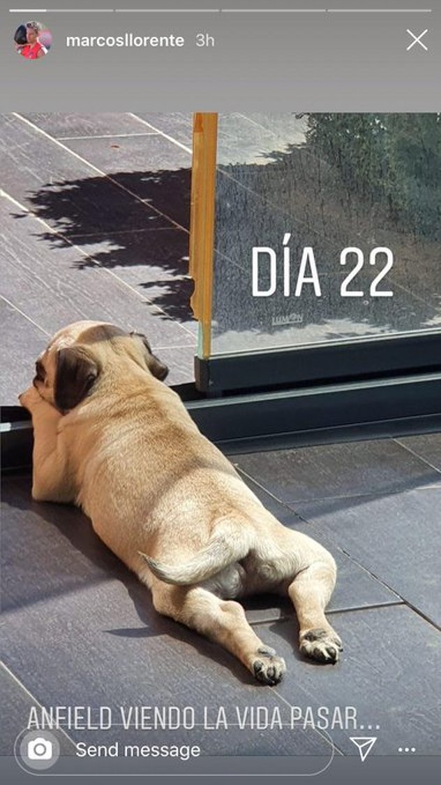 Foto: Instagram/Marcos Llorente