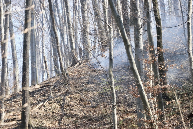 (Foto: A. K./Klix.ba)