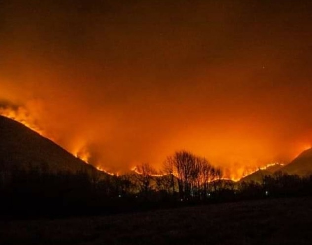 Foto: Čitatelj