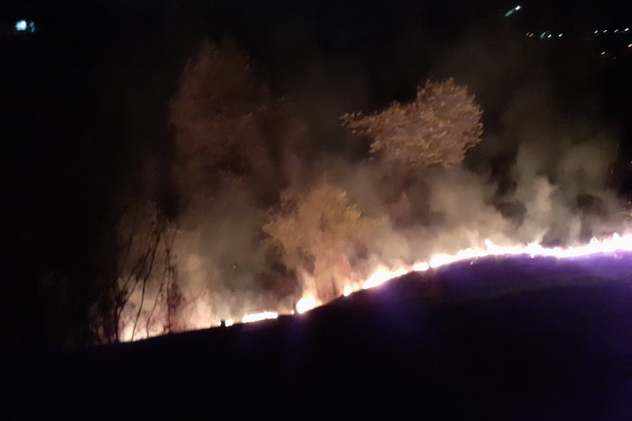 Foto: Čitatelj
