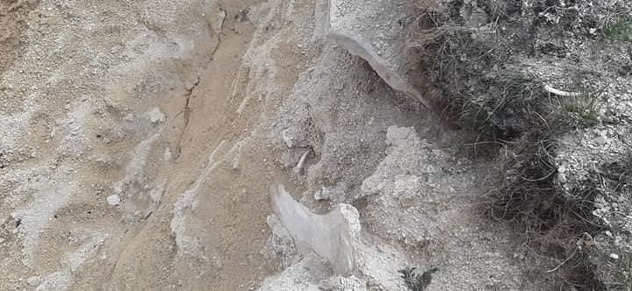 Foto: Muzej Gorica Livno