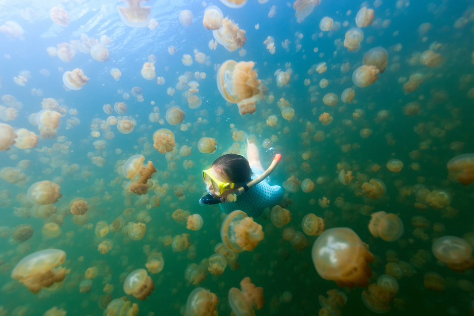 Ilustracija: Shutterstock
