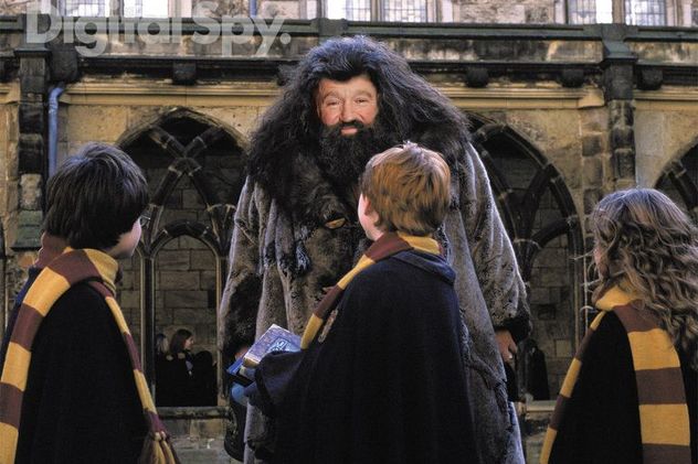 Robin Williams kao Hagrid / Foto: Digital Spy