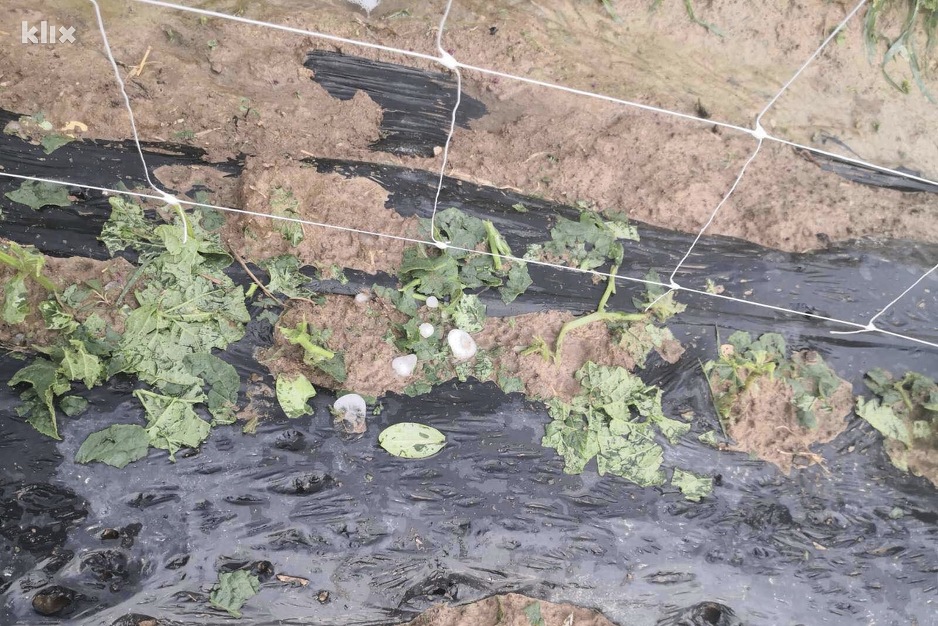 Zasad kornišona nakon nevremena (Foto: Klix.ba)