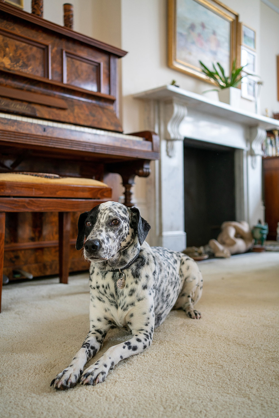 Foto: Beauchamp Estates
